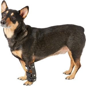 HandicappedPets Carpal Style Front Leg Dog Splint, Small
