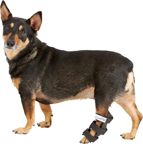 HandicappedPets Hock Style Rear Leg Dog Splint, Small slide 1 of 8