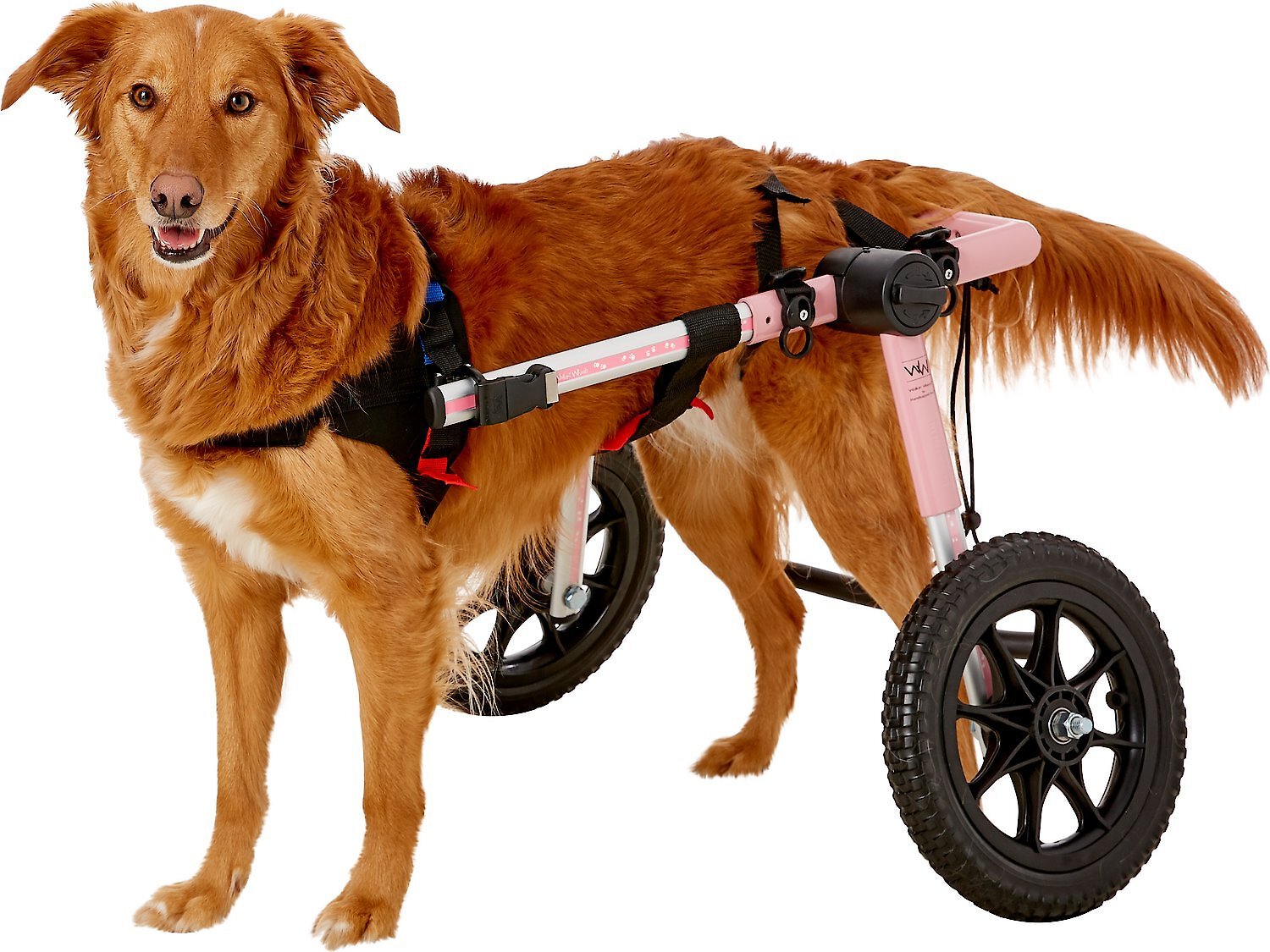 HandicappedPets Large Dog Wheelchair, Pink, 70150 lbs, 17