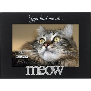 Malden International Designs "You had me at… Meow" Cat Picture Frame, 4 x 6 in