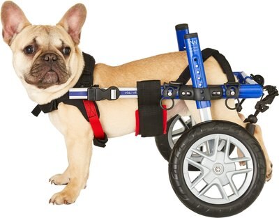 HandicappedPets Small Dog Wheelchair, slide 1 of 1