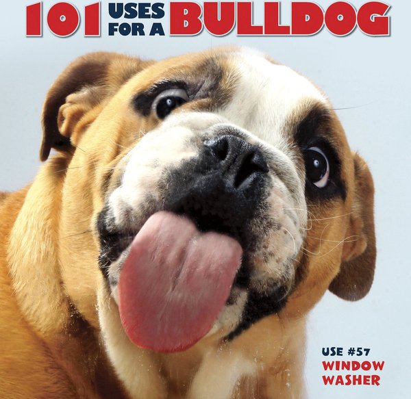 101 Uses For A Bulldog slide 1 of 4