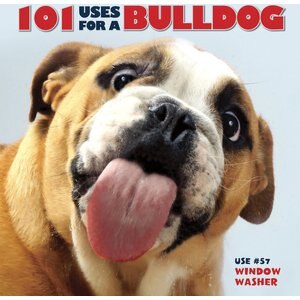 101 Uses For A Bulldog