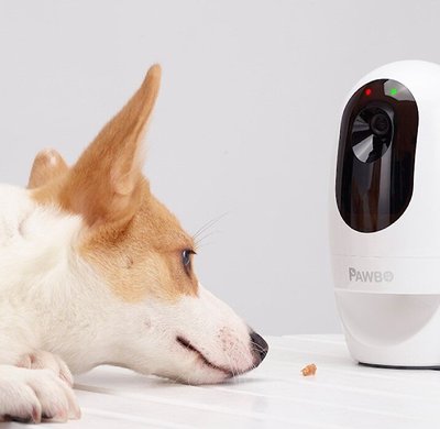 Pawbo+ Wi-Fi Interactive Pet Camera and Treat Dispenser, slide 1 of 1