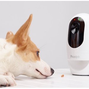 Pawbo+ Wi-Fi Interactive Pet Camera and Treat Dispenser