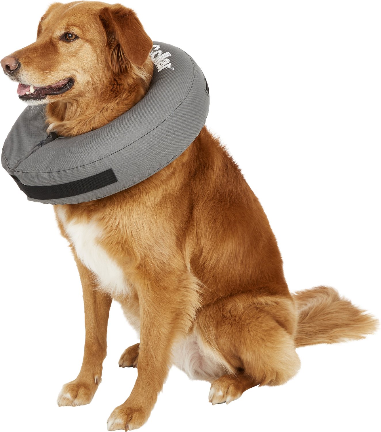 Choola Pet Inflatable Dog Cone Collar for After Surgery Care Bundled with Toy Pump and Extra Tube 