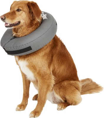 pro collar for dogs