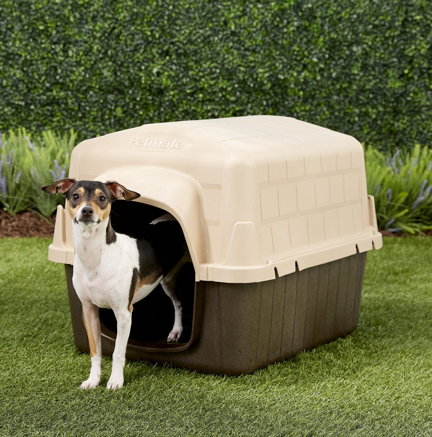 Aspen Pet Petbarn 3 Plastic Dog House, 15-25 lbs - Chewy.com