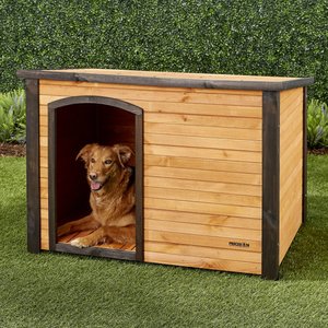 Most Durable Dog House