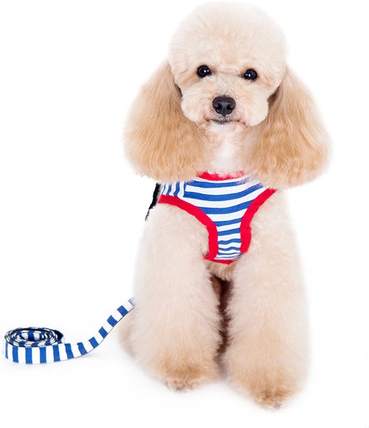 Alfie Pet Vince Sailor Polyester Back Clip Dog Harness & Leash, Small: 14.5 to 16-in chest slide 1 of 10