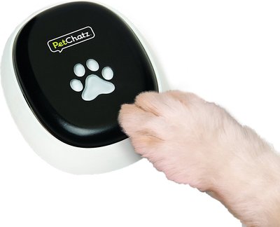 PetChatz PawCall Interactive Accessory, slide 1 of 1