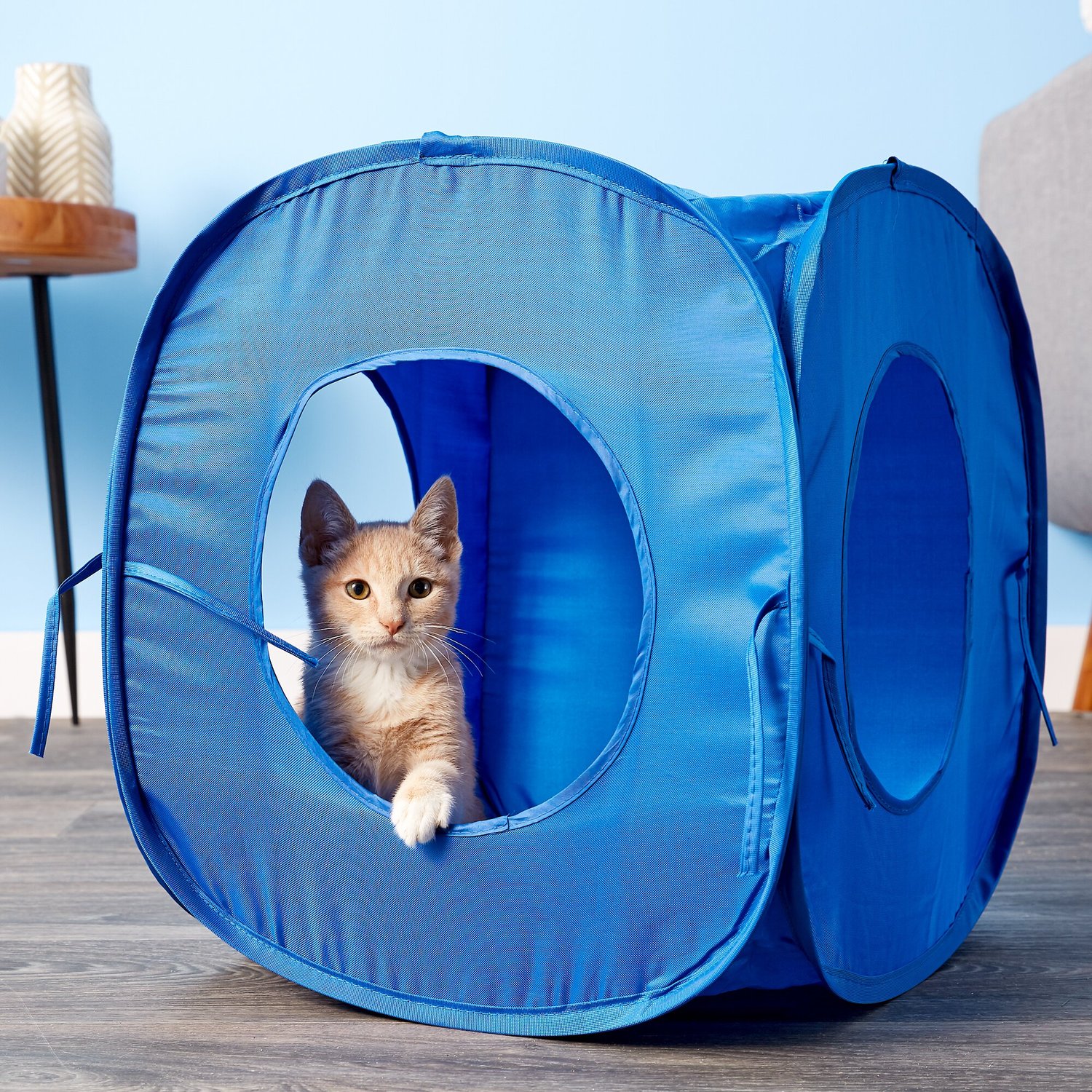 HDP Pop Open Collapsible Play Cube for Cats, Blue - Chewy.com