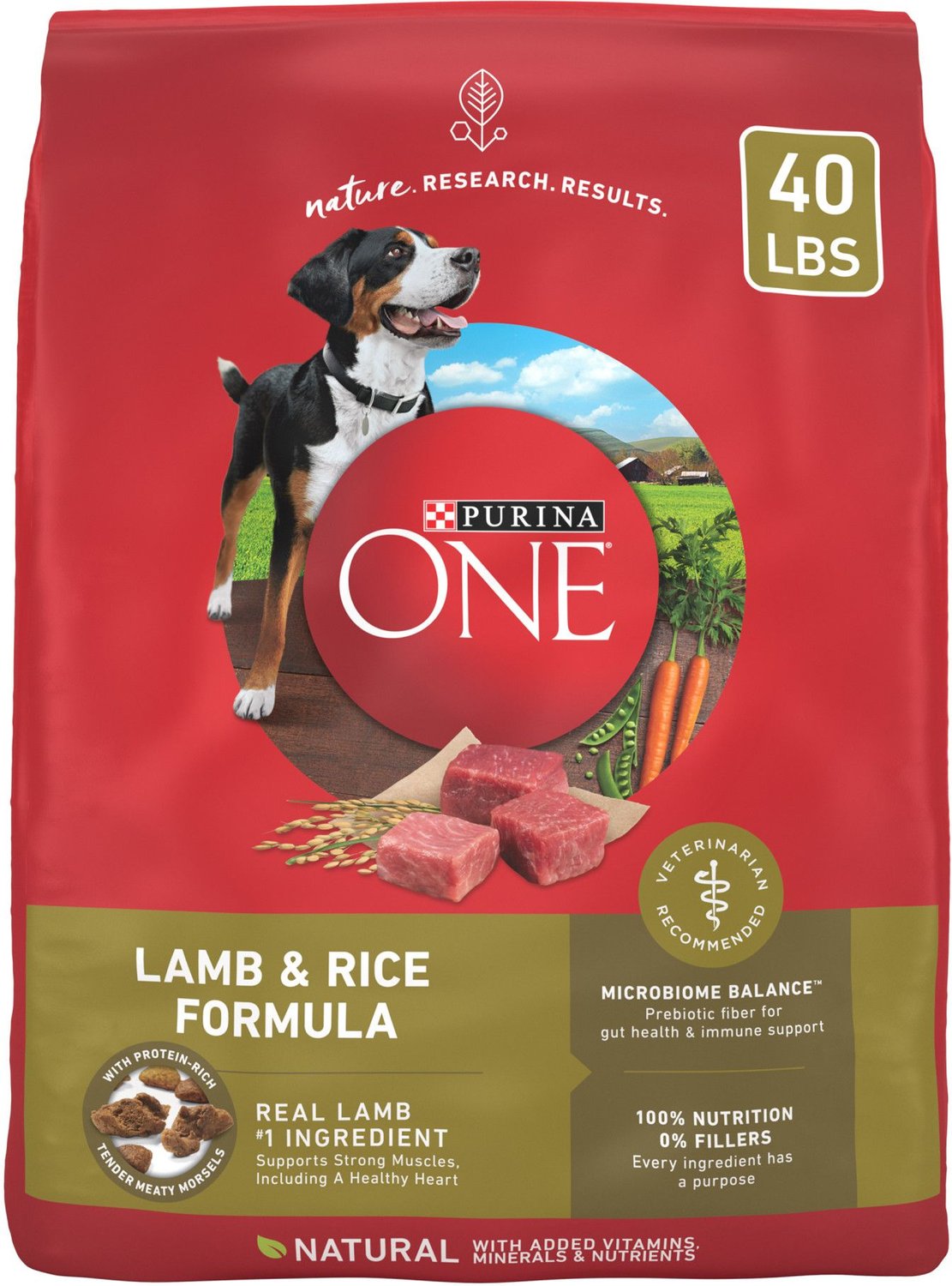 Purina One SmartBlend Lamb & Rice Adult Formula Dry Dog Food