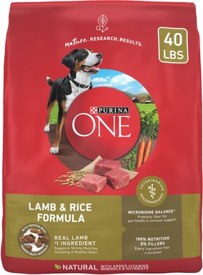 Purina ONE SmartBlend Lamb & Rice Adult Formula Dry Dog Food, slide 1 of 1