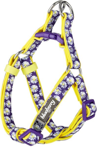 Blueberry Pet Floral Prints Neoprene Step In Back Clip Dog Harness, Daisy, Small: 16.5 to 21.5-in chest slide 1 of 8