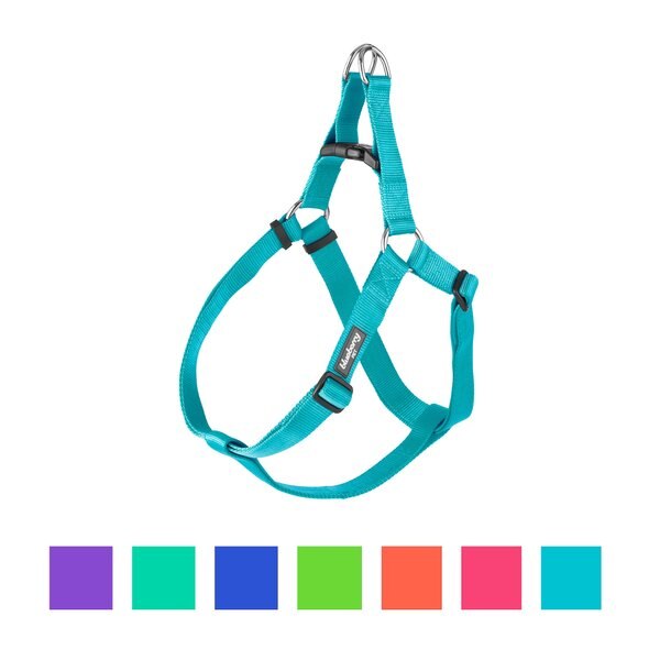Blueberry Pet Classic Solid Nylon Step In Back Clip Dog Harness, Turquoise, Large: 26 to 39-in chest slide 1 of 8