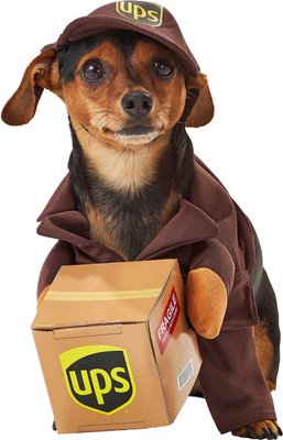 California Costumes UPS Delivery Driver Dog & Cat Costume, slide 1 of 1