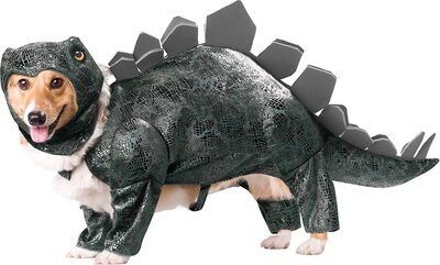California Costumes Stegosaurus Dinosaur Dog Costume, slide 1 of 1