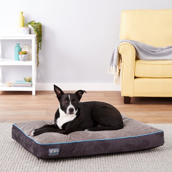 Better World Pets Orthopedic Pillow Dog Bed w/Removable Cover, Ocean Blue, Medium slide 1 of 10