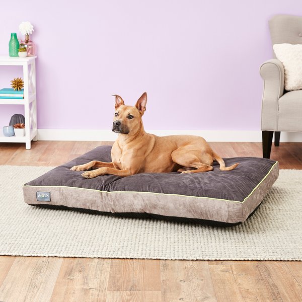 Better World Pets Orthopedic Pillow Dog Bed w/Removable Cover, Rave Green, X-Large slide 1 of 10