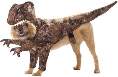 California Costumes Raptor Dinosaur Dog Costume, slide 1 of 1