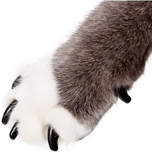 Purrdy Paws Soft Cat Nail Caps, 20 count, Small, Black