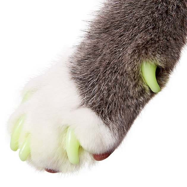 3. Purrdy Paws Soft Nail Caps for Cat Claws