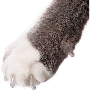 Purrdy Paws Soft Cat Nail Caps, 20 count, Medium, Clear