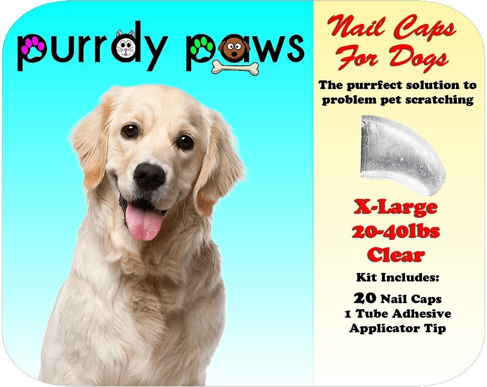 Purrdy Paws Soft Dog Nail Caps 20, Dog Nail Caps Hardwood Floors