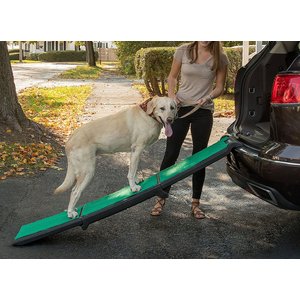 Pet Gear Travel Lite Tri-Fold Dog & Cat Ramp with SupertraX, Black/Green