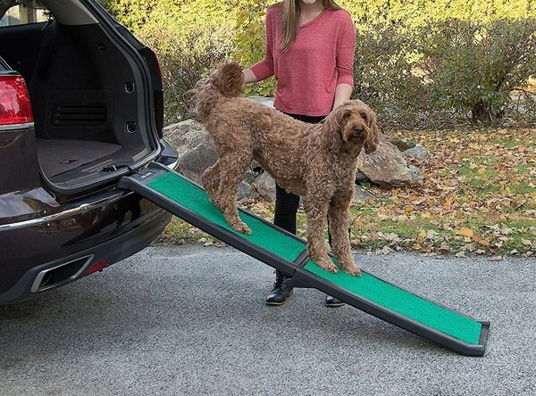 Pet Gear Bi-Fold Dog Car Ramp with SupertraX, Black/Green slide 1 of 7