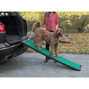 Pet Gear Bi-Fold Dog Car Ramp with SupertraX, Black/Green