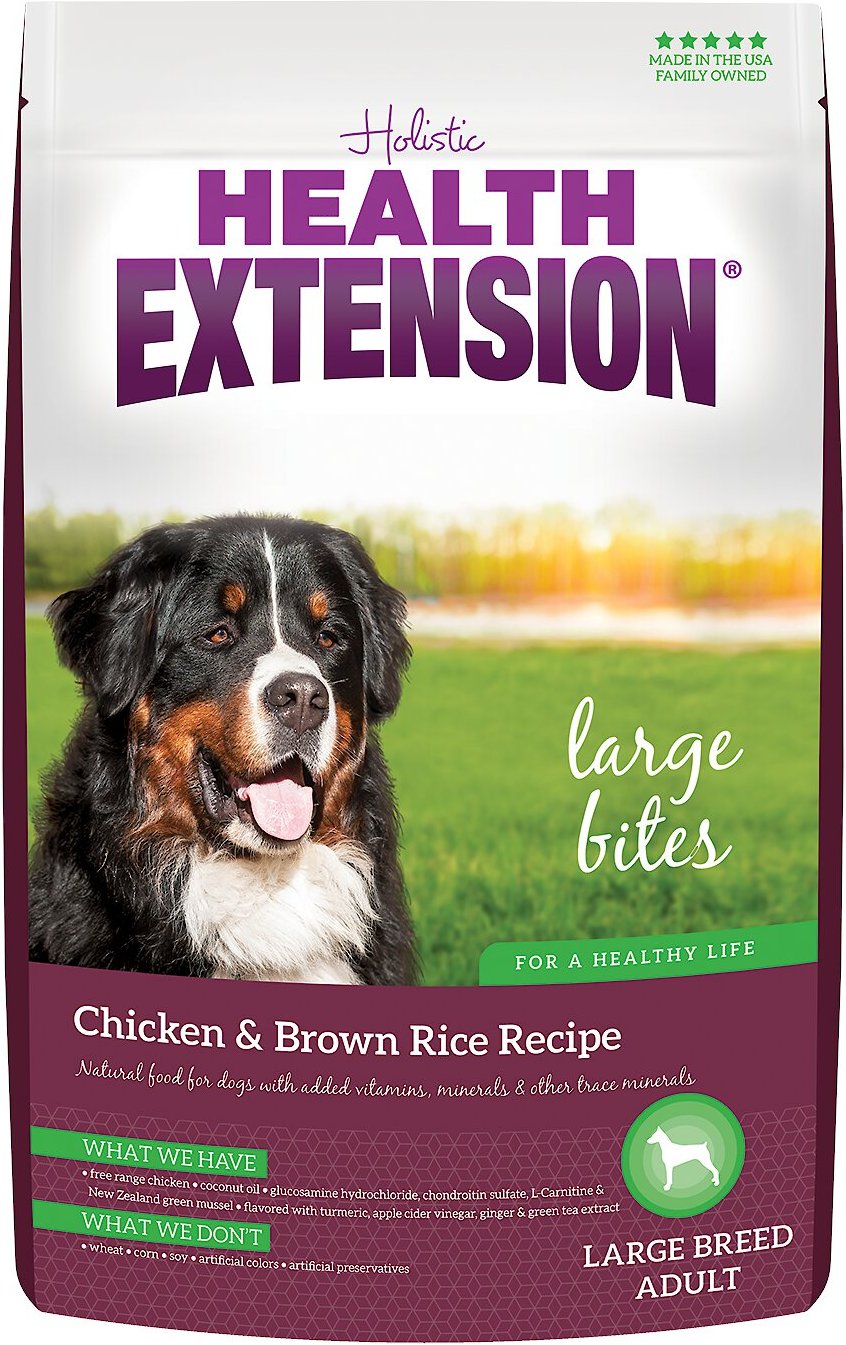 Health Extension Large Bites Chicken Brown Rice Recipe Dry Dog Food 1-lb Bag - Chewycom