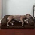 FurHaven Plush & Suede Orthopedic Sofa Cat & Dog Bed, Espresso, Large