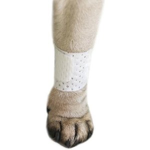 PawFlex Basic Disposable Dog Bandage, 4 count, Medium
