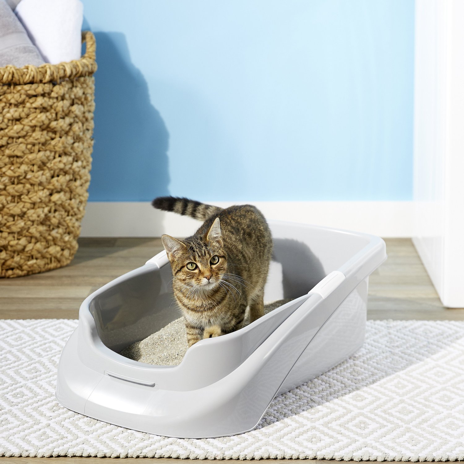 Nature's Miracle Multi-Cat Self-Cleaning Litter Box