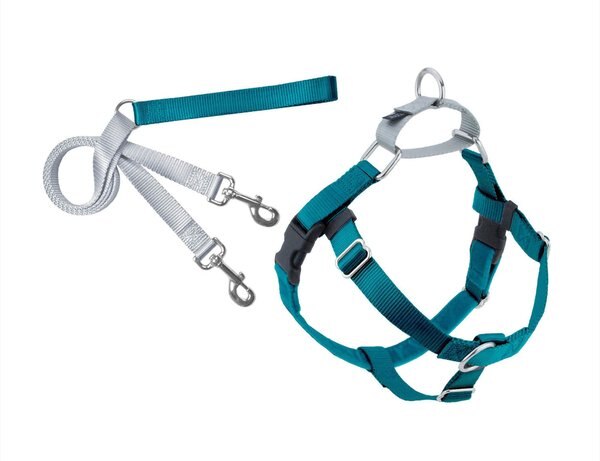 2 Hounds Design Freedom No Pull Nylon Dog Harness & Leash, Teal, X-Small: 15 to 20-in chest, 5/8-in wide slide 1 of 5