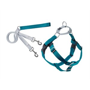2 Hounds Design Freedom No Pull Nylon Dog Harness & Leash, Teal, Medium: 22 to 28-in chest, 5/8-in wide