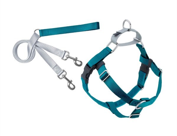 2 Hounds Design Freedom No Pull Nylon Dog Harness & Leash, Teal, Large: 26 to 32-in chest, 1-in wide slide 1 of 5