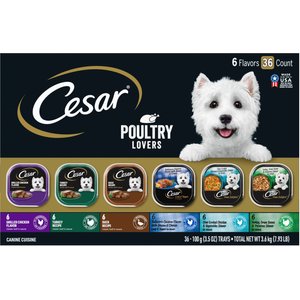 Cesar Poultry Lover's Variety Pack Wet Dog Food Dog Food Trays, 3.5-oz, case of 36
