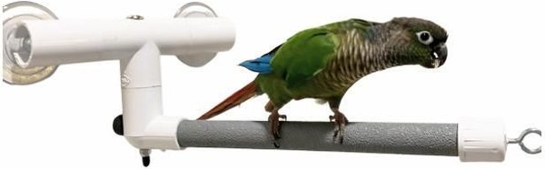 Polly's Pet Products Deluxe Window & Shower Bird Perch, Small slide 1 of 3