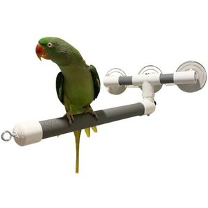 Polly's Pet Products Deluxe Window & Shower Bird Perch, Large