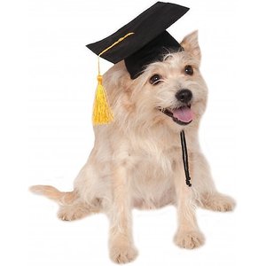 Rubie's Costume Company Graduation Hat Dog & Cat Costume, Small/Medium