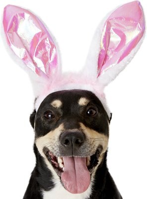 Rubie's Costume Company Bunny Ears Dog & Cat Costume, slide 1 of 1