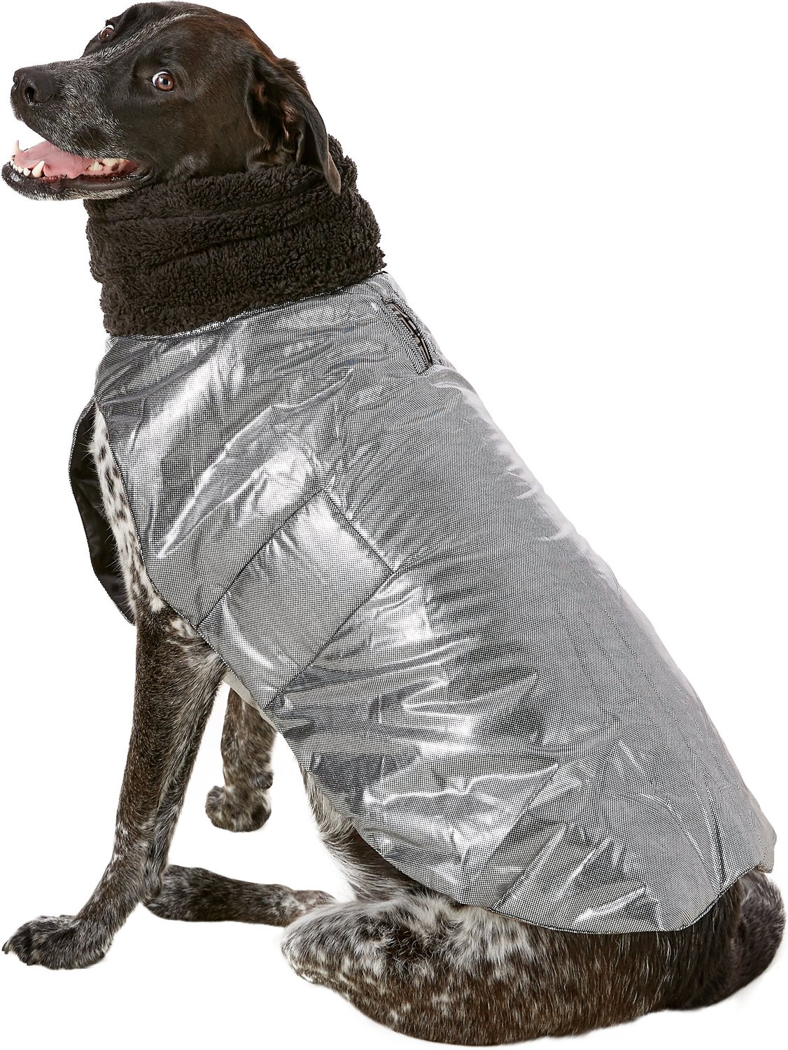 phantom dog coat