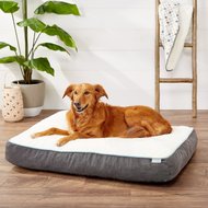 Frisco Plush Orthopedic Pillow Dog Bed with Removable Cover