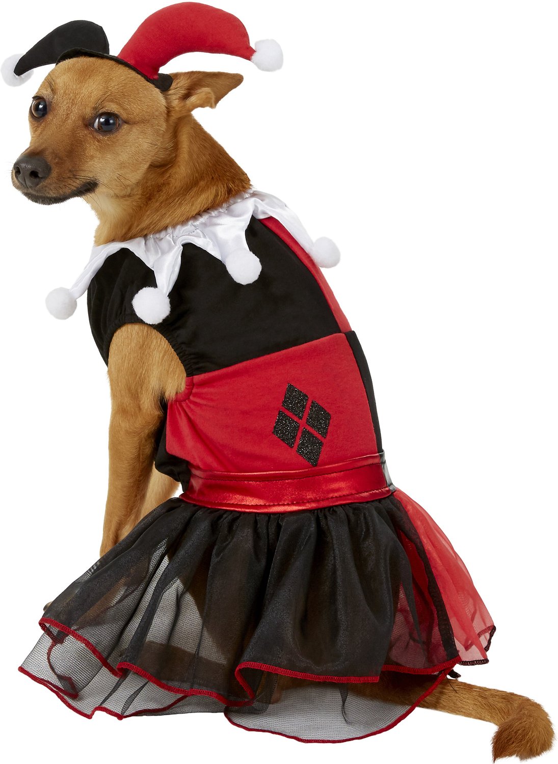 Rubie's Costume Company Harley Quinn Dog & Cat Costume, Medium - Chewy.com