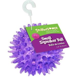 Gnawsome Squeaker Ball Dog Toy, Color Varies, Small