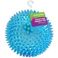 Gnawsome Squeaker Ball Dog Toy, Color Varies, X-Large