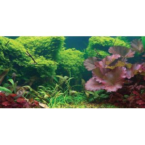Sporn Static Cling Tropical Aquarium Background, Small